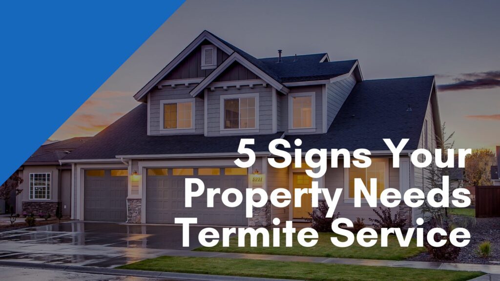 A house with the words 5 signs you need to call a termite service