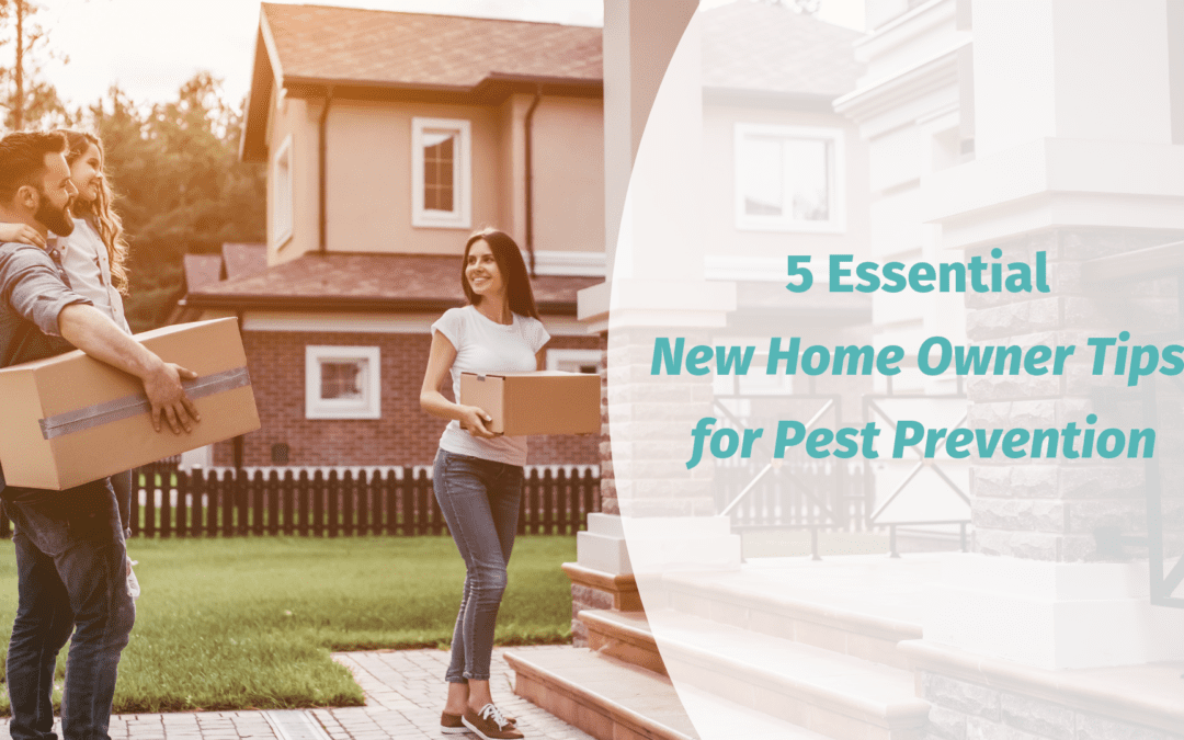 5 Essential New Home Owner Tips for Pest Prevention
