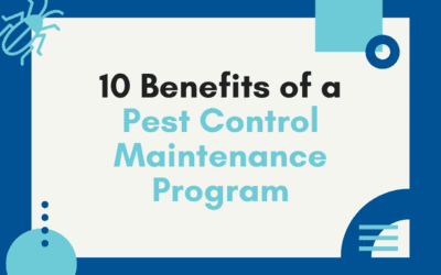 10 Benefits of a Pest Control Maintenance Program