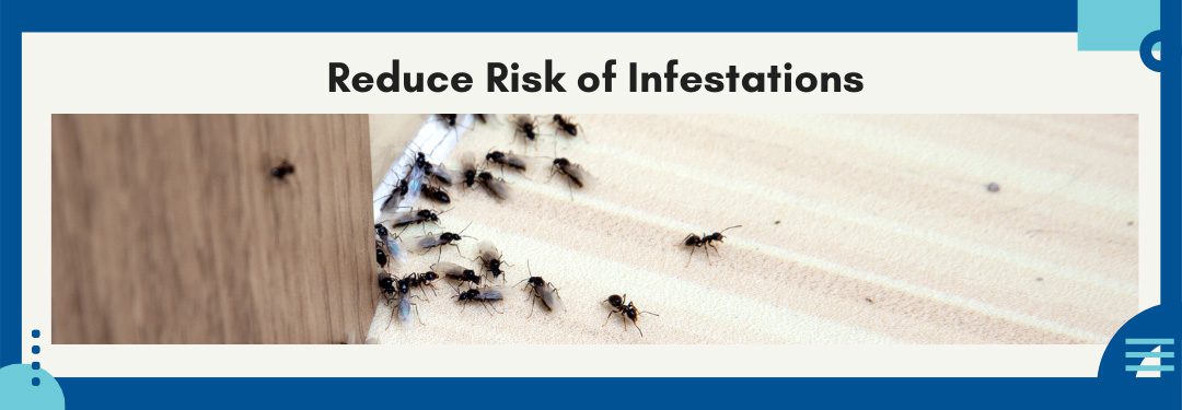 Reduce Risk of Infestations