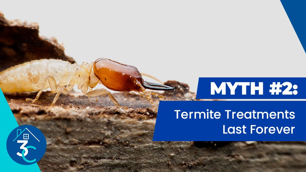 Myth-#2-Termite-Treatments-Last-Forever