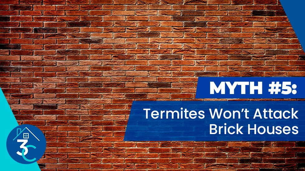 Myth-#5-Termites-WonÆt-Attack-Brick-Houses