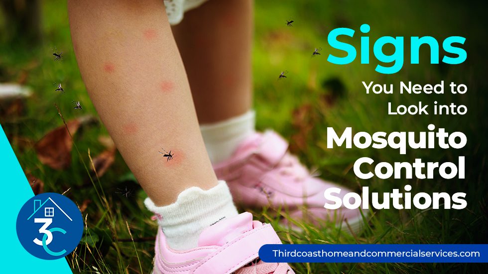 Signs-You-Need-to-Look-into-Mosquito-Control-Solutions