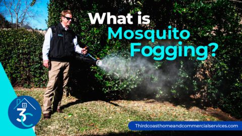 Mosquito Fogging vs Misting: What is the difference? - Third Coast Home ...